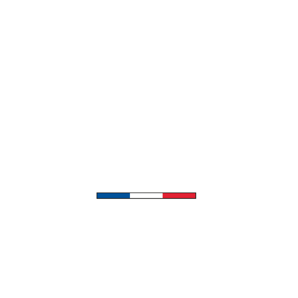 Savoir IA Logo